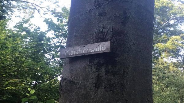 Teaser Maerchenwald